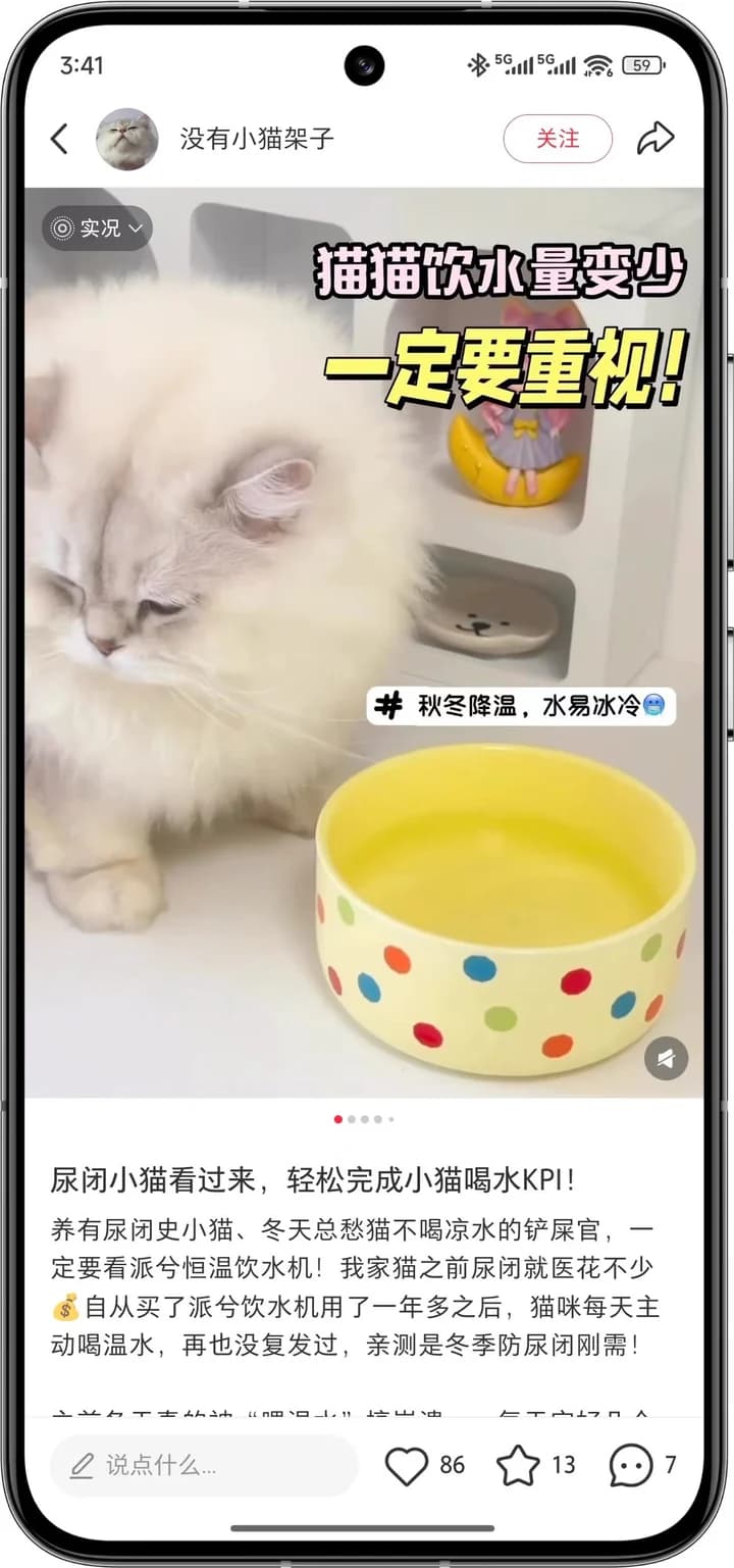 宠物健康案例内容画面 3